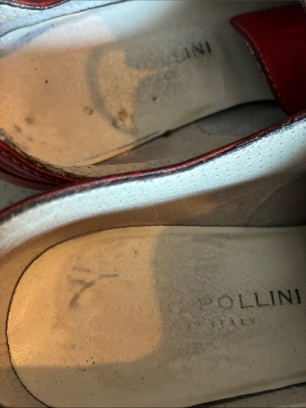 Studio pollini - Picture 8 of 8
